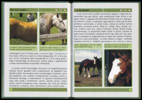 Mit kell tudni a lovakról. Összeáll.: György András. Debrecen, én., TKK. Kiadói kartonált papírkötés