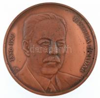 Fritz Mihály (1947-) DN "Huzella Tivadar 1886-1950 / Semmelweis Egyetem" kétoldalas bronz emlékérem (60mm) T:1- patina