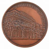 Fritz Mihály (1947-) DN "Huzella Tivadar 1886-1950 / Semmelweis Egyetem" kétoldalas bronz ...