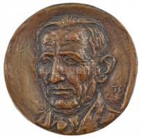 Tóth Sándor (1933-2019) 1966. "Rávnay Tamás emlékére Szeged - Bőrgyógyász Vándorgyűlés" kétoldalas bronz emlékérem (60mm) T:1- patina