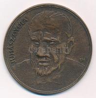 Fritz Mihály (1947-) DN Juhász Gyula egyoldalas bronz emlékérem (55mm) T:2