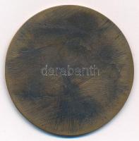 Fritz Mihály (1947-) DN "Juhász Gyula" egyoldalas bronz emlékérem (55mm) T:2