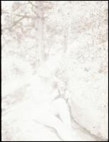 Női akt, 7 db fotónegatív, 4,5×6 cm