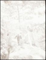 Női akt, 7 db fotónegatív, 4,5×6 cm