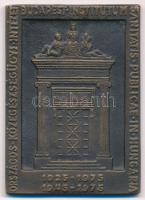 1975. Országos Közegészségügyi Intézet Budapest 1925-1975, 1945-1975 egyoldalas bronz plakett (67x48mm) T:1-