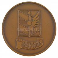 DN Szeged a Szegedi Dómot ábrázoló kétoldalas bronz emlékérem (60mm) T:2 patina, szennyeződés, ph