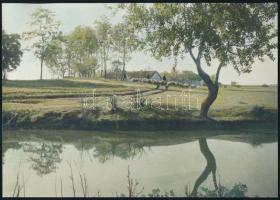 Vidéki tájak, tehenek, 4 db kézzel színezett fotó, 17×23 cm