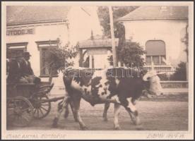 1927 Siófok, Szabó Antal sütödéje, ökrös szekér, kartonra kasírozva, 12×17 cm