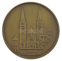 DN Szeged Kétoldalas bronz emlékérem, egyik oldalán a Szegedi Dóm, a másikon a város címere. Szign.:G (60mm) T:1- kis ph
