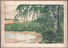 Szamosy jelzéssel: Virágzó vízpart. Akvarell, papír, lap széle kissé foltos, 20×30 cm