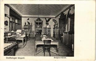 1908 Budapest II. Ornithológiai központ, dolgozó terem, belső (Madártani Intézet). Debrői út (ma Hermann Ottó út)