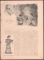 1893-1895 Divatszalon 2 száma. Illusztrált borítókkal, szakadozottak