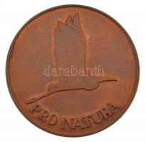 DN PRO NATURA (A Természetért) kétoldalas bronz plakett (59mm) T:2 patina, karc