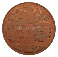 DN "PRO NATURA (A Természetért)" kétoldalas bronz plakett (59mm) T:2 patina, karc