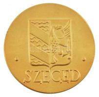 ~1970-1980. Kétoldalas, aranyozott bronz emlékérem, egyik oldalán Szeged város címere, másikon a Belvárosi híd (60mm) T:1-