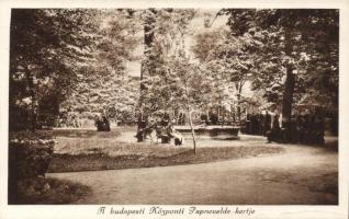 Budapest papnevelde kert