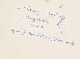Sárdy Brutus (1892-1970): Hegyoldal. Olaj, vászon, kartonon. Jelezve jobbra lent. Hátoldalán autográ...