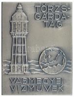 ~1970-1980. Törzsgárdatag - Vasmegyei Vízművek egyoldalas ezüstpatinázott bronz plakett (81x61mm) T:1-