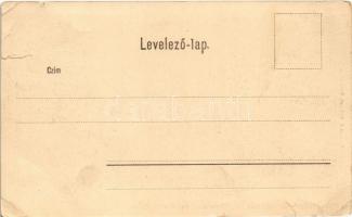 Budapest II. Hűvösvölgy villamos végállomás. Schwarz J. (szakadás / tear)