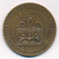 Hollandia DN "Prof. Dr. Karl Landsteiner / Holland Vöröskereszt" kétoldalas bronz emlékére...