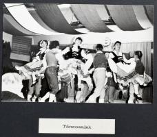 1972 A budapesti Kertészeti Egyetem életéről, tanszékei tevékenységéről a XI. kerületi pártbizottság...