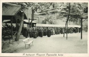 Budapest papnevelde kertje