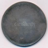 Lebó Ferenc (1960-) 1992. "Szent István csatahajó" jelzett Ag emlékérem, "SZG" g...