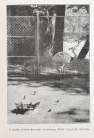 1943 Állatkerti Hírek, Budapest Székesfőváros Állat- és Növénykertjének közleményei. évfolyam bekötv...