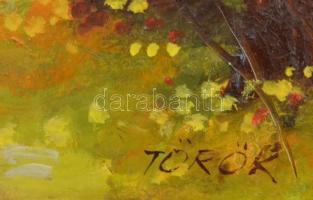 Török Gyula (?-): Erdei út. Olaj, farost. Jelzett. Dekoratív fakeretben. 50X40 cm