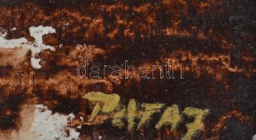 Pataj Miklós (1948-): Tócsa. Olaj, farost, jelzett, fakeretben, 20×39 cm