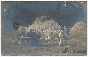 ~1906 Tátralomnic, Tatranská Lomnica (Magas-Tátra, Vysoké Tatry); A kis gazda csacsival / child with donkey. photo (EB)