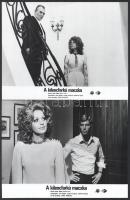 cca 1971 ,,A kilencfarkú macska című olasz - NSZK - francia bűnügyi film jelenetei és szereplői, 8 db vintage, produkciós filmfotó, a használatból eredő (esetleges) kisebb hibákkal, ezüst zselatinos fotópapíron, 18x24 cm