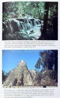 Linda Schele - David Freidel: A Forest of Kings. The Untold Story of the Ancient Maya. With color ph...