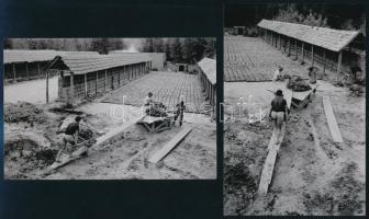 cca 1962 Téglavetők, Kalocsai Rudolf budapesti fotóriporter hagyatékából 4 db mai nagyítás, 15x10 cm