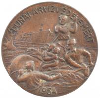 1954. Dunai árvízvédelemért bronz jelvény (37mm) T:2