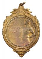 1928. Országos Iparos Szövetség - Aranyérem 1928 aranyozott bronz kitüntető érem füllel, hátoldalon névre szóló Lőwy Mór - Budapest gravírozással, HUGUENIN gyártói jelzéssel (94x65mm) T:1-,2