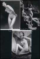 cca 1980 előtt készült, szolidan erotikus felvételek, 5 db mai nagyítás különféle forrásokból, 10x15 cm