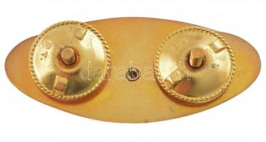 1980. "A Magyar Népköztársaság Űrhajósa" aranyozott, műgyantás jelvény (26x60mm) T:1