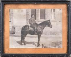 Beazonosítandó lovas portréja, 1935. Fotó alatt olvashatatlan ceruzás felirattal. Üvegezett, kopott fakeretben. Hátoldalán Blau Miklós Edényáruház Gyöngyös címkéjével. 17,5x22 cm