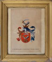 cca 1900-1940 A Vág-Szerdahelyi Prepeliczay család címere. Színezett nyomat, papír, sérült. Üvegezett, sérült fakeretben. 23,5x17 cm
