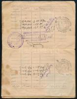 1947 arcképes egyiptomi oltási igazolvány magyar személy részére