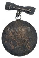 DN "Ferencvárosi Torna Club - Budapest IX. ker." zománcozott fém jelvény (~42x30mm) T:2- p...