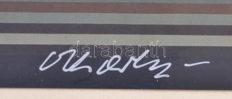 Victor Vasarely (1908-1997): Alagút. Computer print, papír, jelzett a nyomaton. Üvegezett alumínium ...