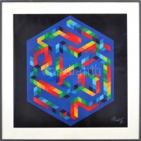 Victor Vasarely (1908-1997): Hexa color. Computer print, papír, jelzett a nyomaton. Üvegezett alumínium keretben. Lapméret: 41x41 cm
