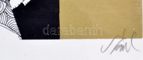 Szász Endre (1926-2003): A mindent látó szem. Szitanyomat, papír, jelzett, (Artist Proof), Üvegezett...