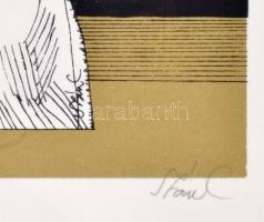 Szász Endre (1926-2003): A zilált hajú nő. Szitanyomat, papír, jelzett, (A/E), Üvegezett alumínium k...