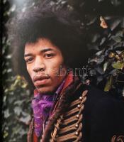 Miles, Barry: Hippie. New York, Sterling Publishing. Kiadói kartonált kötés, papír védőborítóval, jó...