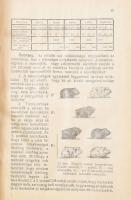 Boczonádi Szabó Imre-Örösi Pál Zoltán : Méhgazdaság 
Újpest, 1926, Boczonádi Méhészet kiadása (Nemz...