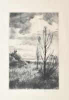 Fehér Ilona (1913-1983): Balaton. Rézkarc, papír, jelzett, lap széle kissé foltos, 30x19,5 cm