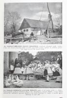 Cholnoky Jenő: A Kárpátoktól az Adriáig. Nagy-Magyarország írásban és képben. 355 képpel, számos szö...